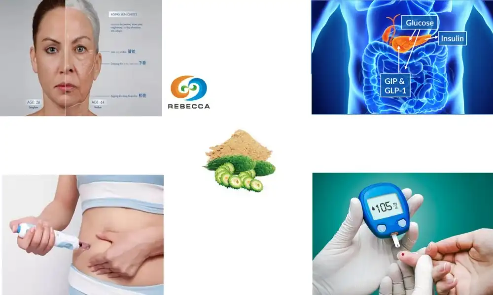 Bitter Melon Extract Powder: A Powerful Supplement for Blood Sugar Control